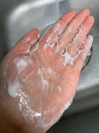 [포레스트스토리] 탈모증상완화 샴푸 1,000ml — 5점을 준 리뷰어가 2022년 3월 올린 사용 사진