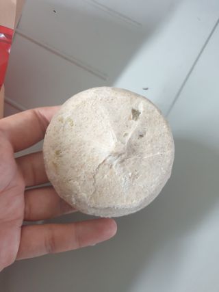 맹고님이 올린 리뷰 사진 2