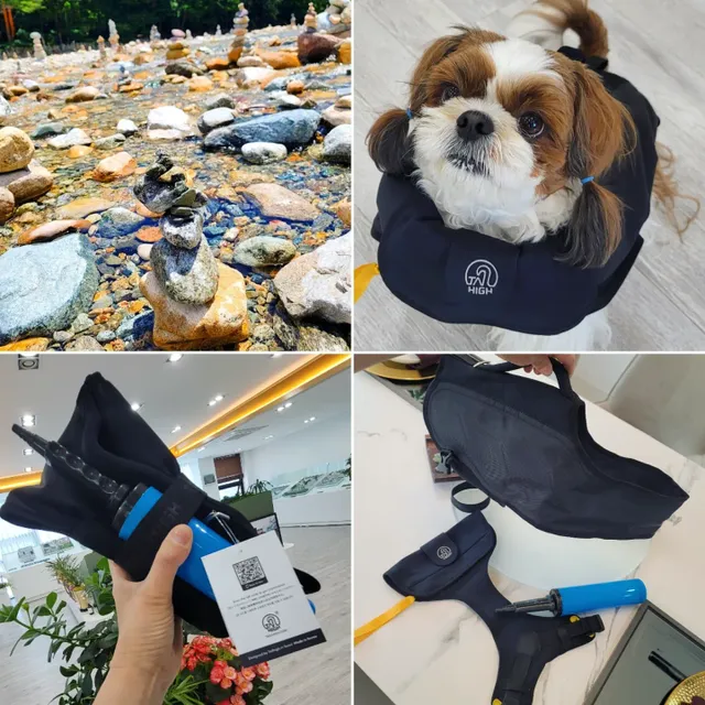 테일하이 반려견 공기주입식 구명조끼 리뷰 사진