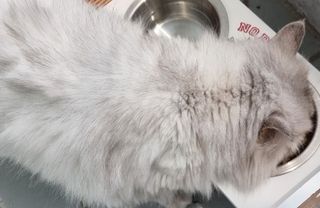 리라로님이 올린 리뷰 사진 3