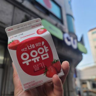 노이님이 올린 리뷰 사진 2