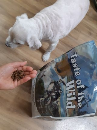 진진이님이 올린 리뷰 사진 4