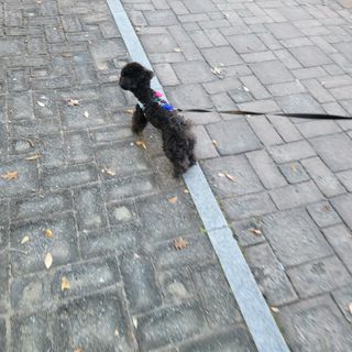sooooo님이 올린 리뷰 사진 4
