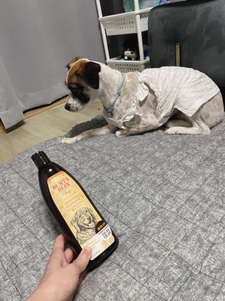 쏘팔팔팔이님이 올린 리뷰 사진 1