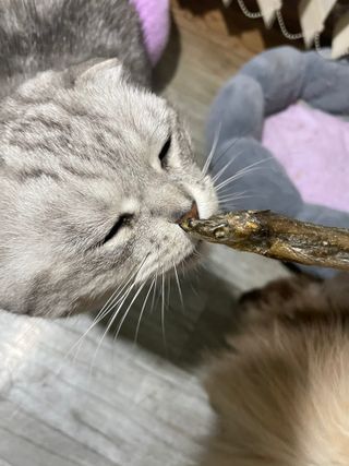 2준2님이 올린 리뷰 사진 3