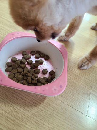 다솜다빈이아빠님이 올린 리뷰 사진 3