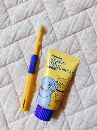 Pethroom 페스룸 PETHROOM DENTAL CARE SET 페스룸 덴탈 케어 세트 / 덴탈 클린 칫솔 + 덴탈 클린 치약 — 5점을 준 리뷰어가 2020년 12월 올린 사용 사진