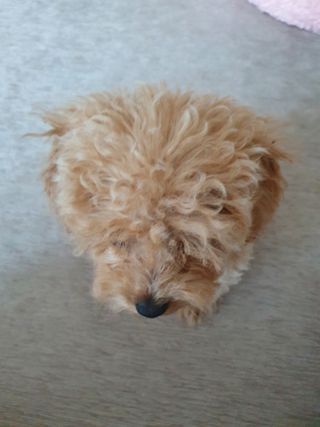 cheers님이 올린 리뷰 사진 4