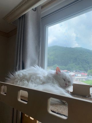 ㄹ진님이 올린 리뷰 사진 3