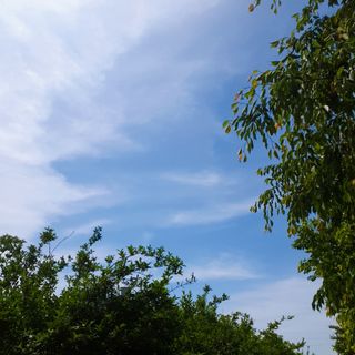 0.8L 마케팅팀 - — 1점을 준 리뷰어가 2021년 5월 올린 사용 사진
