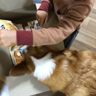 코기코기님이 올린 리뷰 사진 2