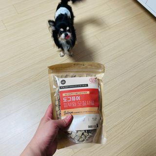 도그퓨어 피부와모질/혼합유산균/글루코사민 유기농 로스팅 사료 — 4점을 준 리뷰어가 2021년 9월 올린 사용 사진