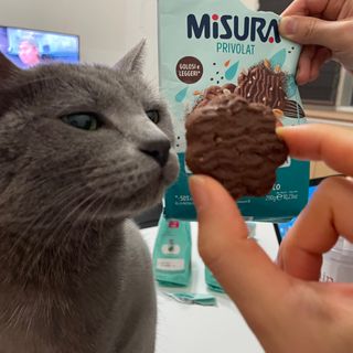 여온님이 올린 리뷰 사진 2