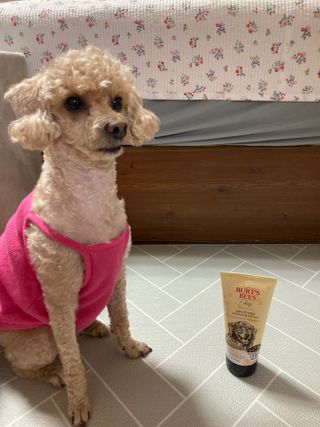 버츠비 케어플러스 릴리빙포앤노즈로션 — 5점을 준 리뷰어가 2021년 4월 올린 사용 사진