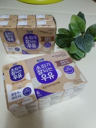 소화가 잘되는 우유 국산 5곡 미숫가루 — 5점을 준 리뷰어가 2021년 9월 올린 사용 사진