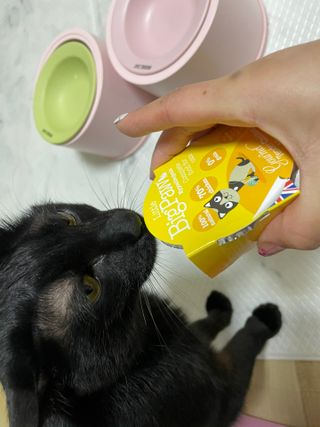 핑크천사님이 올린 리뷰 사진 2