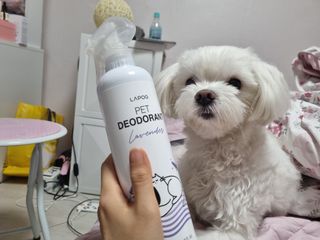 노지혜님이 올린 리뷰 사진 4