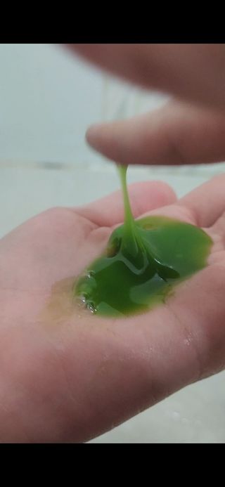 소이님이 올린 리뷰 사진 3