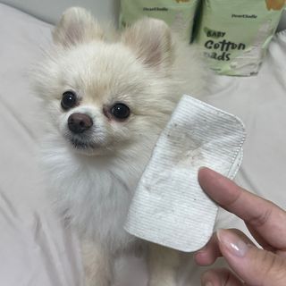 디어엘로디 유기농 무표백 건티슈 60매 — 5점을 준 리뷰어가 2022년 9월 올린 사용 사진