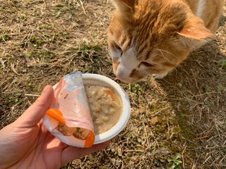 연이님이 올린 리뷰 사진 4