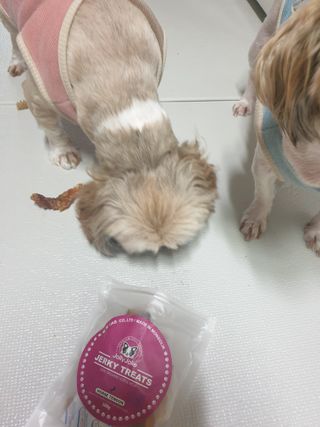보리엄마님이 올린 리뷰 사진 3