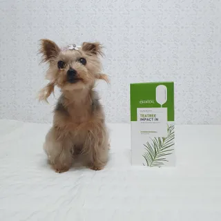 솜희님이 올린 리뷰 사진 3