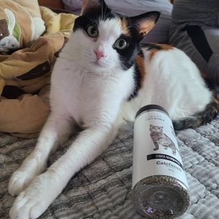 루잉루잉님이 올린 리뷰 사진 3