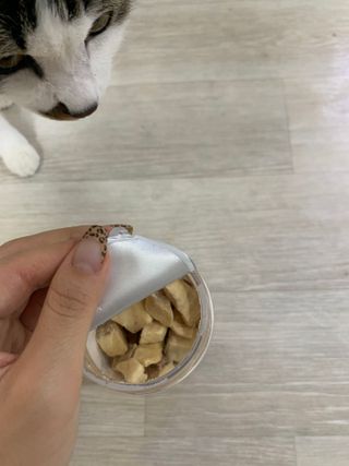 부르르펫 야미트릿 틸라피아 60g — 5점을 준 리뷰어가 2021년 10월 올린 사용 사진