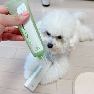 윰쏘님이 올린 리뷰 사진 4