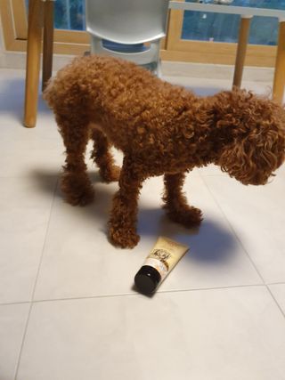 미라클진님이 올린 리뷰 사진 3