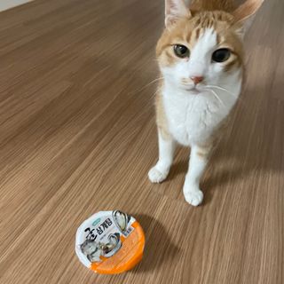 또블리님이 올린 리뷰 사진 2