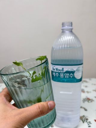 바노피파이님이 올린 리뷰 사진 3