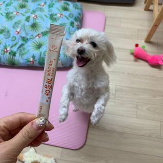 챔미님이 올린 리뷰 사진 3