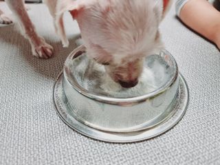 힝구님이 올린 리뷰 사진 4