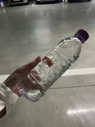은때님이 올린 리뷰 사진 2
