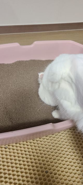 논지님이 올린 리뷰 사진 4
