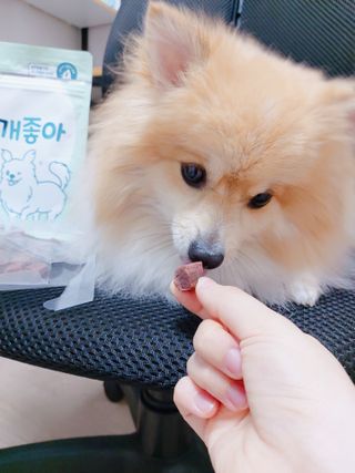 설탕님이 올린 리뷰 사진 2