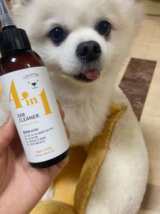 ey2님이 올린 리뷰 사진 2