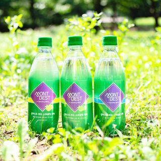 몽베스트 Montbest with Sparkling water Lemon OR Lime 20병(랜덤) — 5점을 준 리뷰어가 2022년 7월 올린 사용 사진