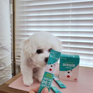 펫시랩 반려견용 액상 프리바이오틱스 아쿠아펫 — 4.5점을 준 리뷰어가 2021년 1월 올린 사용 사진