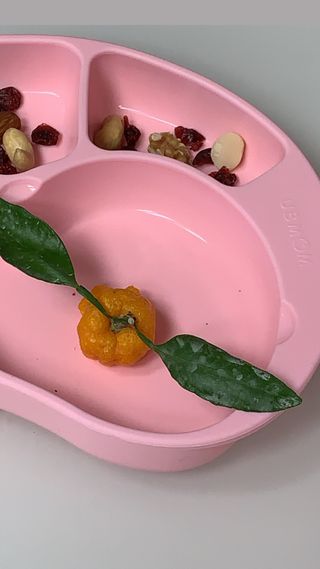 유비맘 캐릭터 실리콘 흡착 식판_색상 랜덤발송 — 4.5점을 준 리뷰어가 2021년 2월 올린 사용 사진