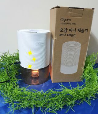 참살이님이 올린 리뷰 사진 2