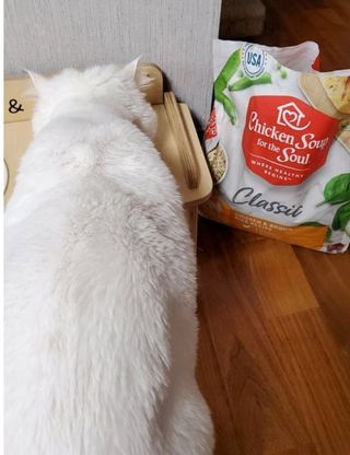 으하하하하님이 올린 리뷰 사진 2