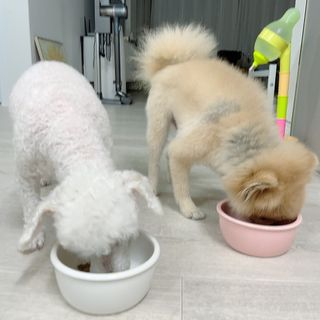 예나님이 올린 리뷰 사진 2