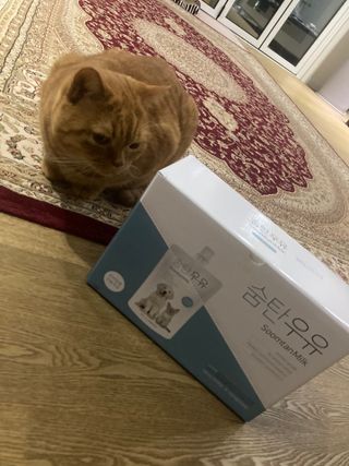 syjuknow님이 올린 리뷰 사진 4