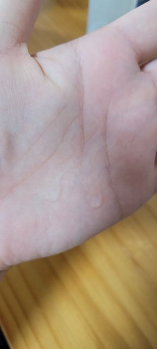 숑숑님이 올린 리뷰 사진 4