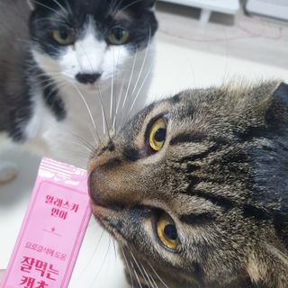숑굥님이 올린 리뷰 사진 3