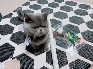 sehee님이 올린 리뷰 사진 1