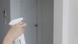 편백의정석 편백의 정석, 피톤치드스프레이 살균 천연 탈취제 집먼지 진드기 이불 침대 매트리스 새집중후군 천연 살균제 — 5점을 준 리뷰어가 2021년 4월 올린 사용 사진