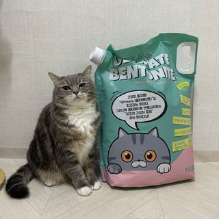 [미유박스] 울티메이트 벤토나이트 오리지널 11.8kg — 5점을 준 리뷰어가 2024년 5월 올린 사용 사진